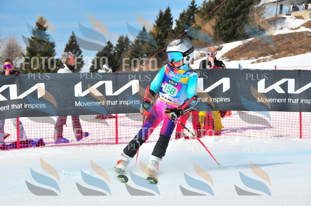 DSC_1408 | holidayphoto