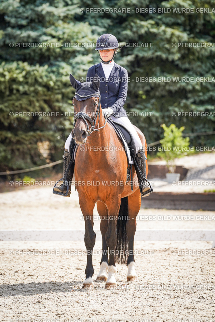 DSC02218 | Pferdegrafie