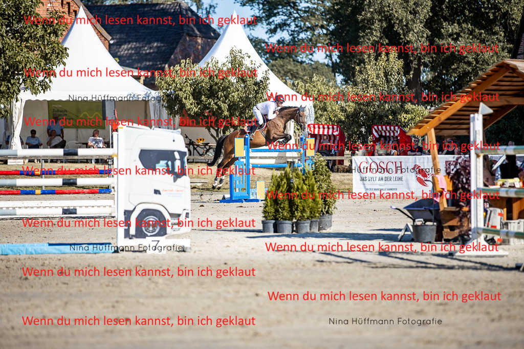 BK1A8159 | Turnierbilder Turnierfotos Nina Hüffmann Turnierfotografie Pferdefotografie Tierzeichnung Haustierzeichnung Pferdezeichnung Hundezeichnung Videograf  - Realisiert mit Pictrs.com