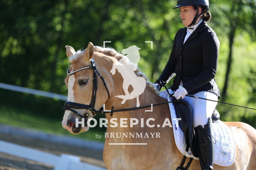 0P6A9362 | Willkommen bei Brunnmayr - Design & Fotografie – Ihrem Spezialisten für Reitturniere und Pferdeveranstaltungen in Oberösterreich, Salzburg und Bayern! Seit über 17 Jahren sind wir leidenschaftlich dabei.