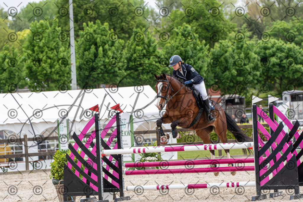 KPT_8463 | andre_photographic