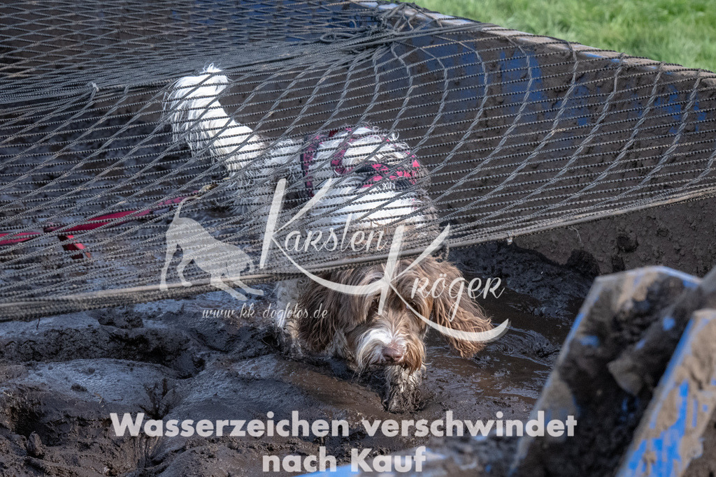 1611_ZZ91893 | kk-dogfotos