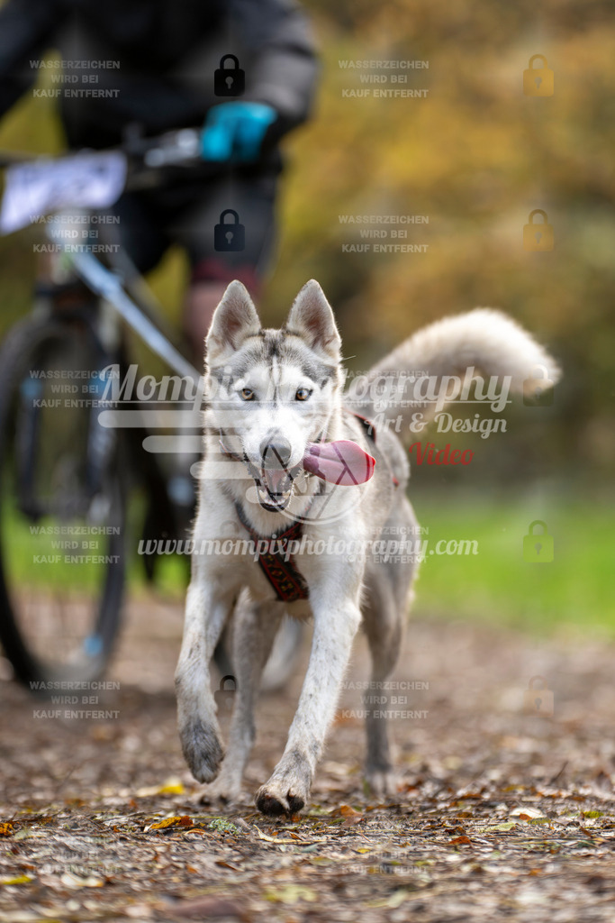 MompixPhotography_Bischwiller23_Bike-20 | PayLife
