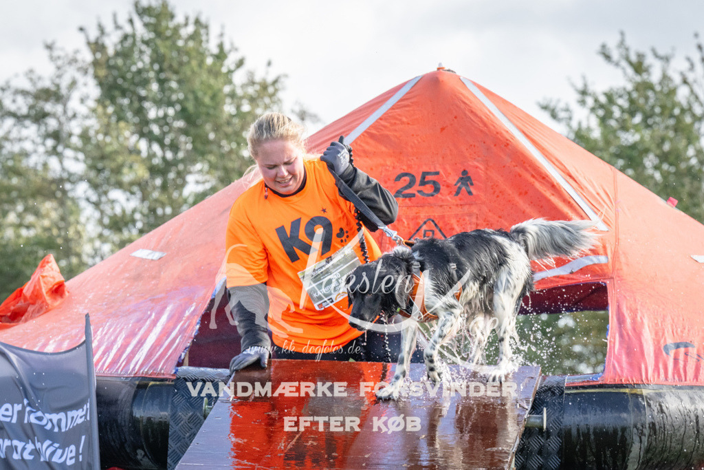 1229-93920 | kk-dogfotos