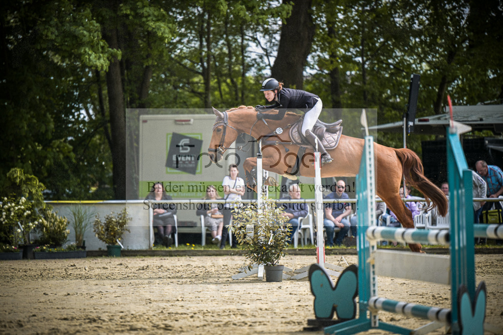 DOS_0975 | Entdecke hochwertige Reitturnierfotos von Foto Oger. Professionell, emotional und authentisch – jetzt Lieblingsmomente im Shop bestellen. - Realisiert mit Pictrs.com