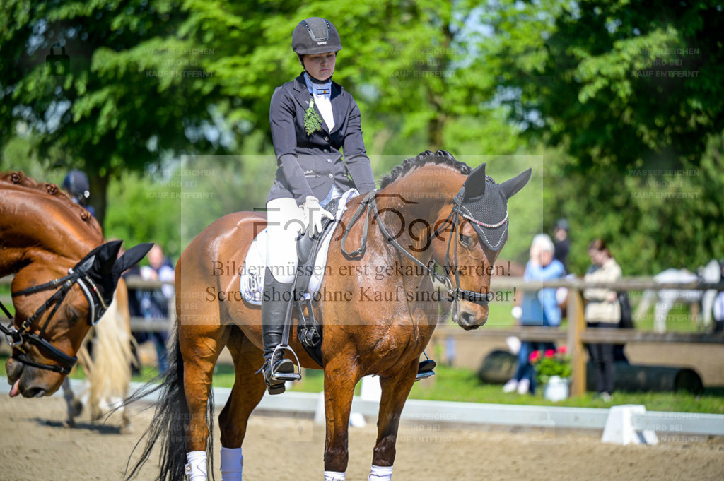 Reitturnier Lienen | Entdecke hochwertige Reitturnierfotos von Foto Oger. Professionell, emotional und authentisch – jetzt Lieblingsmomente im Shop bestellen. - Realisiert mit Pictrs.com