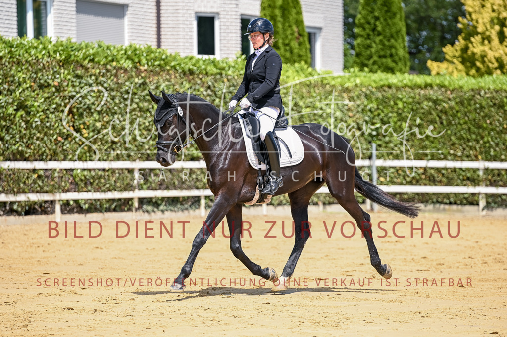 Schugtsche-Aluta25-49.Dressurpferdeprf.A-58 | Schugtsche Fotografie - Realisiert mit Pictrs.com