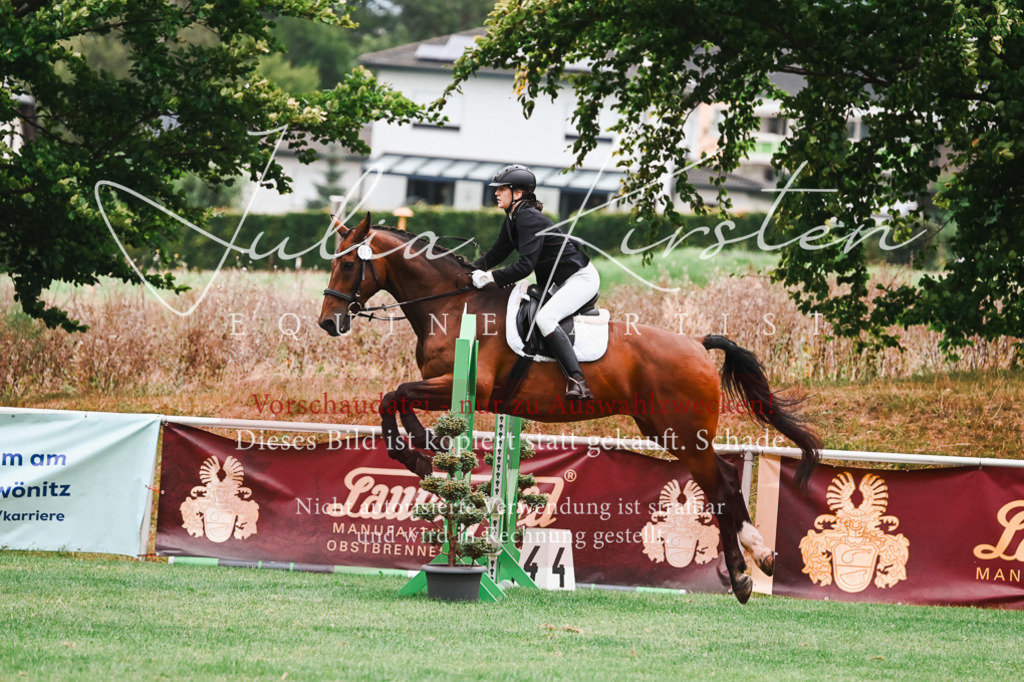 DSC_5969 | Pferde- und Turnierfotografie in Westsachsen. Pferdeportraits, Auftragszeichnungen und intuitive Kunst.