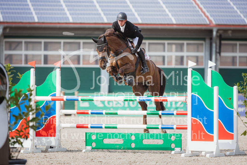 220705_Mühlen_SprPf-M-664 | Late Entry Mühlen
05.07.2022
06 Springpferdeprüfung Kl.M*