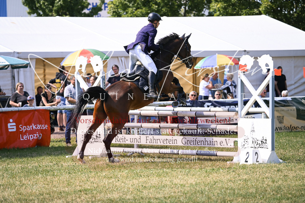 DSC_0413 | Pferde- und Turnierfotografie in Westsachsen. Pferdeportraits, Auftragszeichnungen und intuitive Kunst.