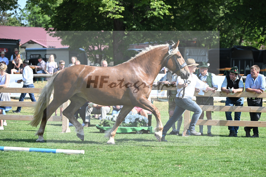 Kat-Nr. 13 Ida_Weiderer_20230198 | hf-fotografie - Realisiert mit Pictrs.com