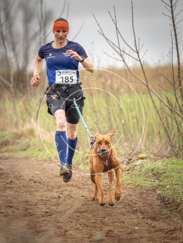 DV3A2137 | Hundefotografie, Tierfotograf, Pfotenfotografie, Fotoshooting Hund, Hunde Portrait, Hundesport, Hundeportraits, Heideshooting, Hunde, Sportfotograf, Hundefotograf, Turnierhundsport, THS,  - Realisiert mit Pictrs.com
