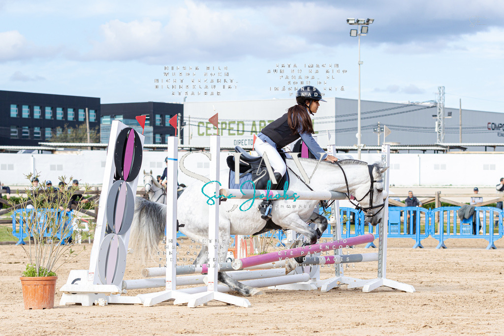 IMG_3422 | s-jay-photography - Realisiert mit Pictrs.com