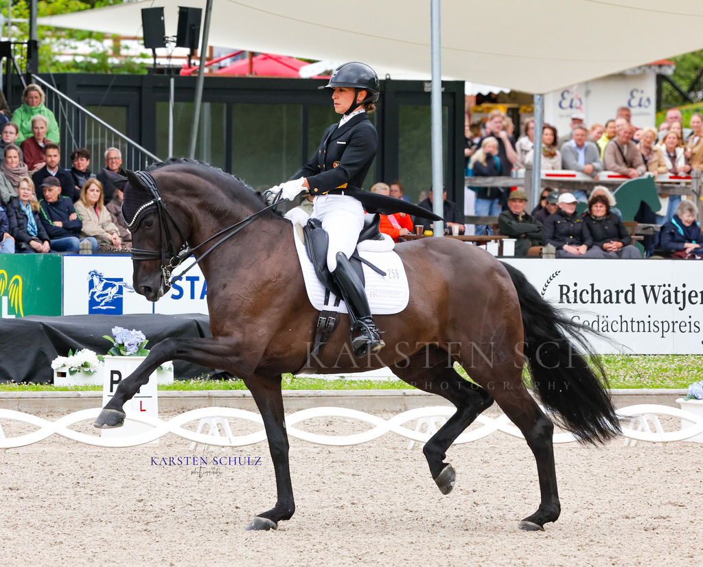 IMG_0112 | Reitsport Reiten