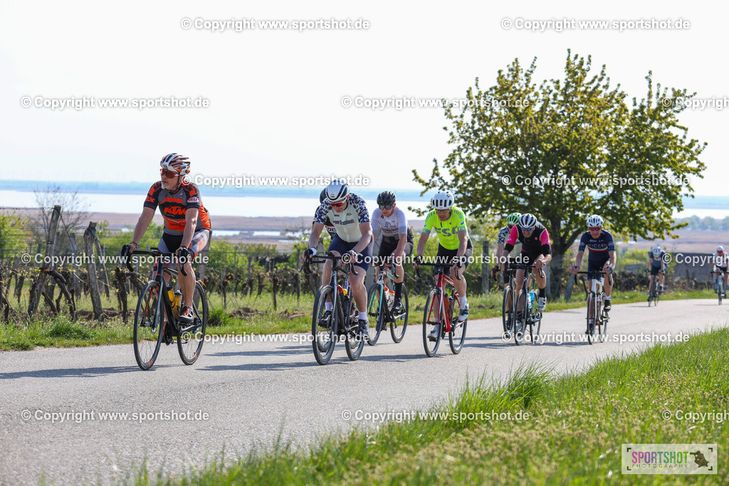 IMG_1731 | @sportshot_your_pictrs #yourpictures#roadtowm2029 #nrm #neusiedlerseeradmarathon #neusiedlersee #neusiedlerseetourismus #burgenland #mörbisch #nrm26 #burgenlandtourismus #voglundco #poweredbyburgenlandtourismus #radsport #rad #marathon #ucigranfondo #visitburgenland #ucigranfondoworldseries