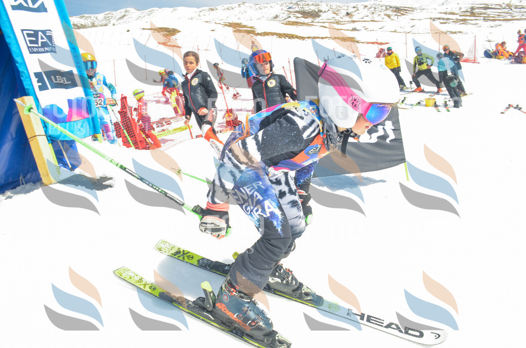 _ELE6319 | holidayphoto