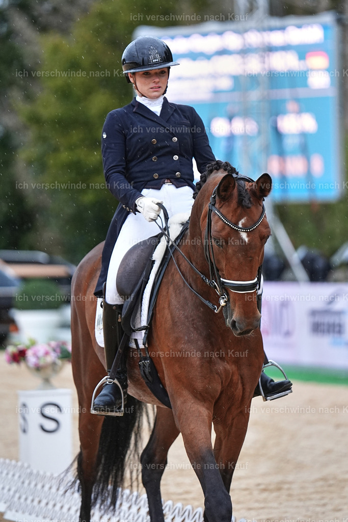8_1-001-Klasse S_  -Marixx-4314 | working equitationturnier fotograf videograf stoibphotography marixx film working equitation deutschland reitsport turnierfotografie eventfotografie equestrian events