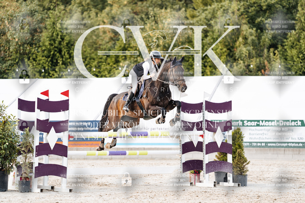 CK903981 | Turnierfotografie Pferdefotografie Trier Rheinland-Pfalz Pferdesport Reitsport Tierfotografie Sportfotografie Pferdevideo Pferdevideografie Equestrianvideography equestrianphotography  - Realisiert mit Pictrs.com
