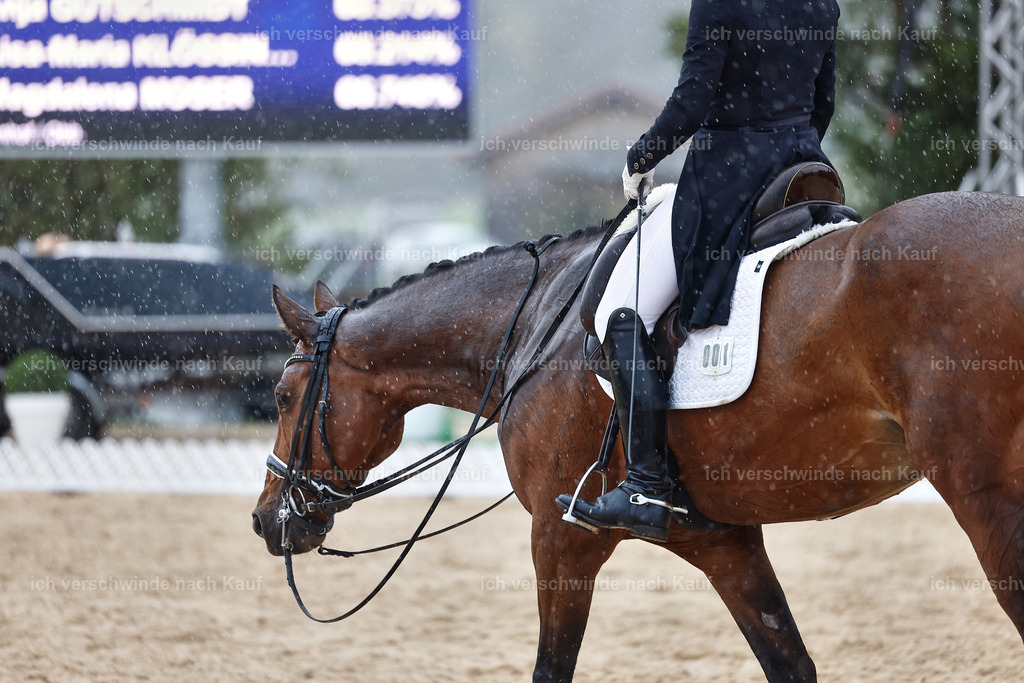 8_1-001-Klasse S_  -StoibPH-3979 | working equitationturnier fotograf videograf stoibphotography marixx film working equitation deutschland reitsport turnierfotografie eventfotografie equestrian events