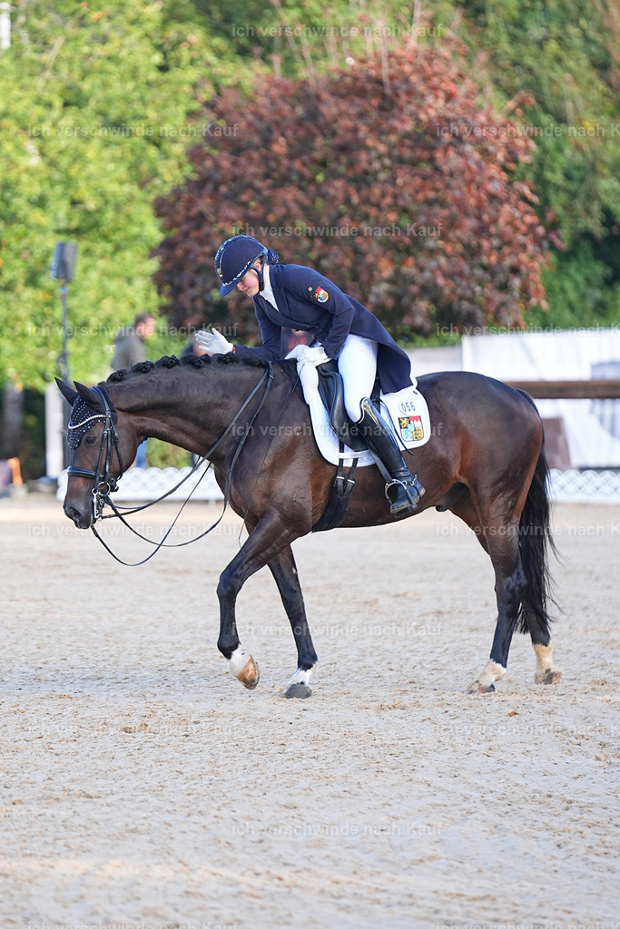 09_1-056-DRESSUR  S_  -Marixx-5642 | working equitationturnier fotograf videograf stoibphotography marixx film working equitation deutschland reitsport turnierfotografie eventfotografie equestrian events