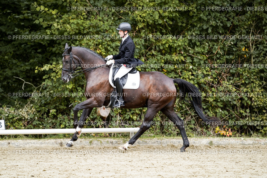 DSC05896 | Pferdegrafie