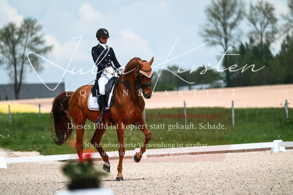 20230514_JK-Röhrsdorf-21-042 | Pferde- und Turnierfotografie in Westsachsen. Pferdeportraits, Auftragszeichnungen und intuitive Kunst.