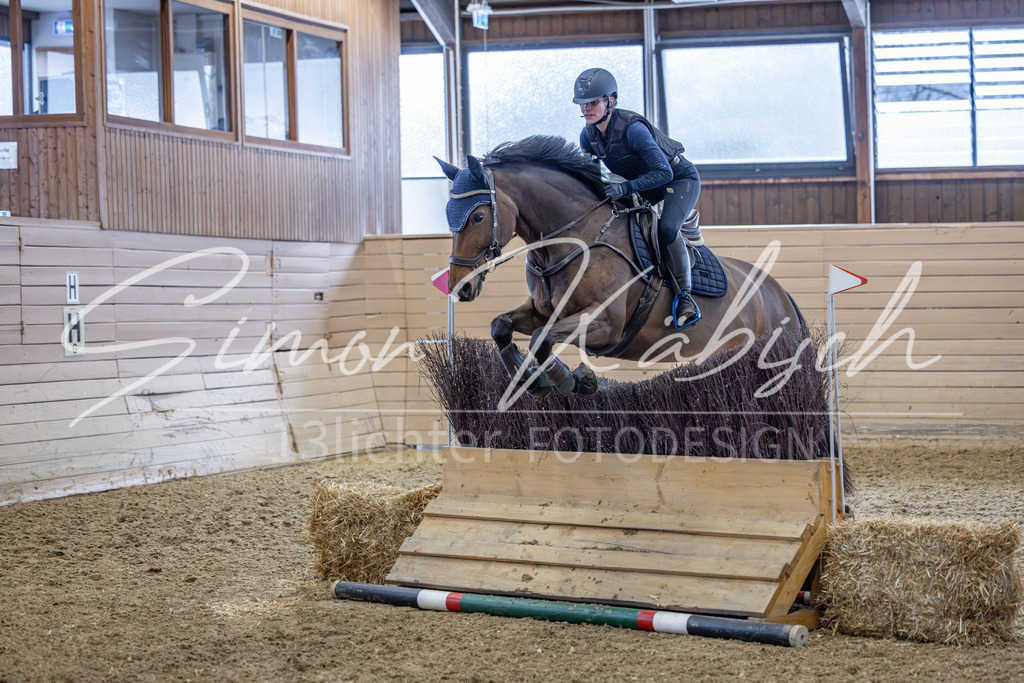 20260221-_3LI9097 | Tierfotografie Pferde, Hunde, Katzen, Haustiere.
Turnierfotografie Reitturniere, Reiten, Springreiten, Dressur in Hanau, dem Main-Kinzig-Kreis und dem Rhein-Main- Gebiet um Frankfurt