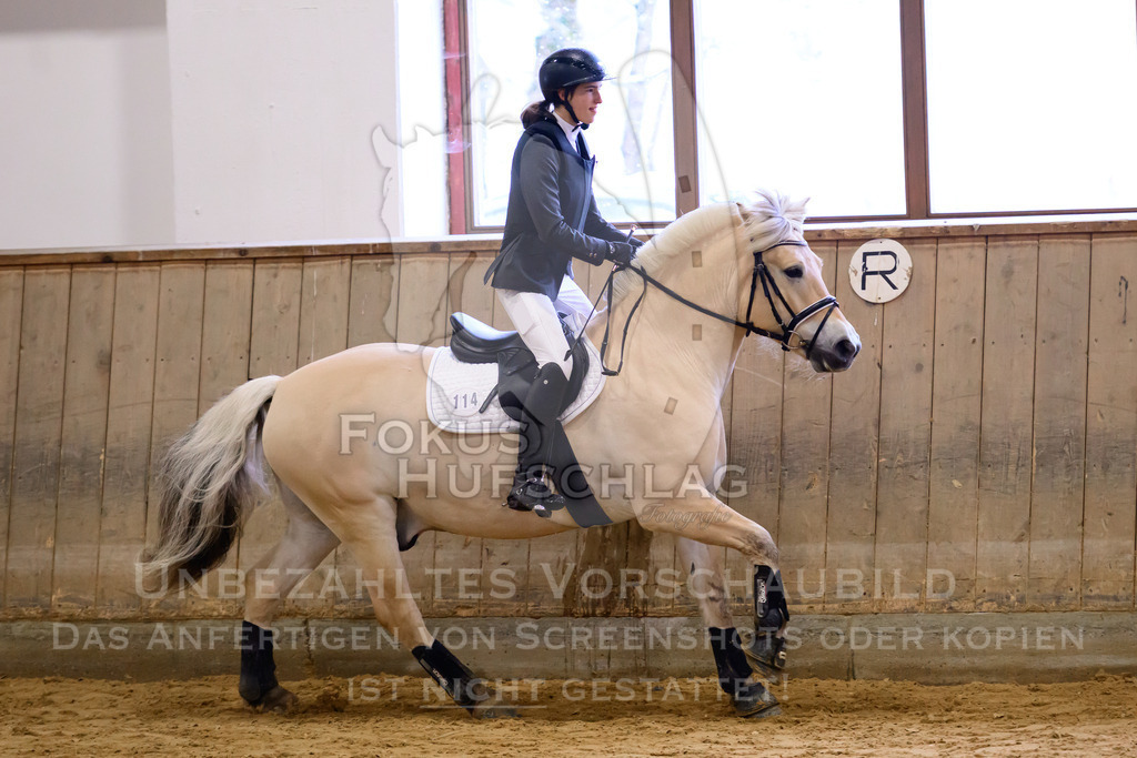 29032026-Schwaiganger-Prfg02-1-0001 | Fokus Hufschlag Fotografie - Realisiert mit Pictrs.com