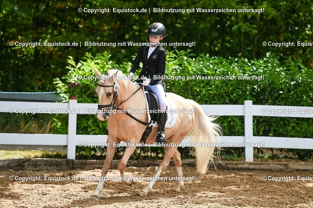 20230716_10-3_Reiter-WB Schritt - Trab - Galopp_0120 | equistock