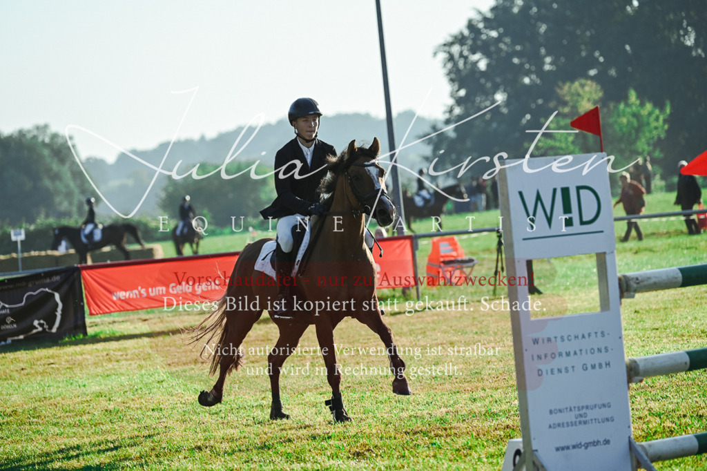 DSC_4126 | Pferde- und Turnierfotografie in Westsachsen. Pferdeportraits, Auftragszeichnungen und intuitive Kunst.