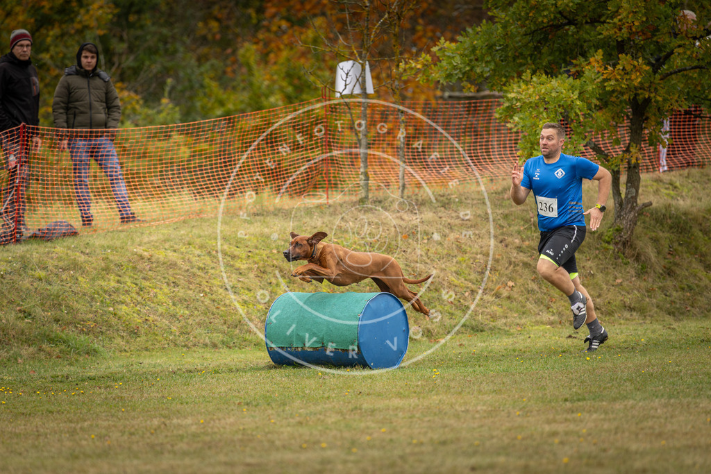 Pfotenfotografie_DV3A5721 | Hundefotografie, Tierfotograf, Pfotenfotografie, Fotoshooting Hund, Hunde Portrait, Hundesport, Hundeportraits, Heideshooting, Hunde, Sportfotograf, Hundefotograf, Turnierhundsport, THS,  - Realisiert mit Pictrs.com