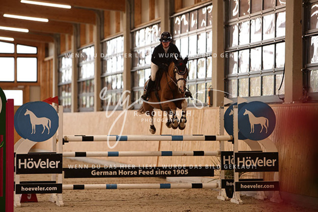 1J2A4878Lilli Plath_ Butler of Picobello Z_ Kn039_ Glantz_ Hohen Wieschendorf | Foto- und Videografie für alles rund ums Pferd. Hochwertige Bilder und Videos vom Spring- und Dressurreiten, Voltigieren & mehr. Jetzt aktuelle Veranstaltungen und Preise im Shop ansehen. - Realisiert mit Pictrs.com