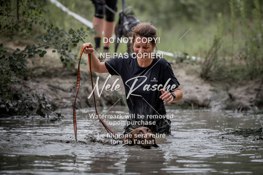 nelerasche_so0800-0930_335 | nelerasche