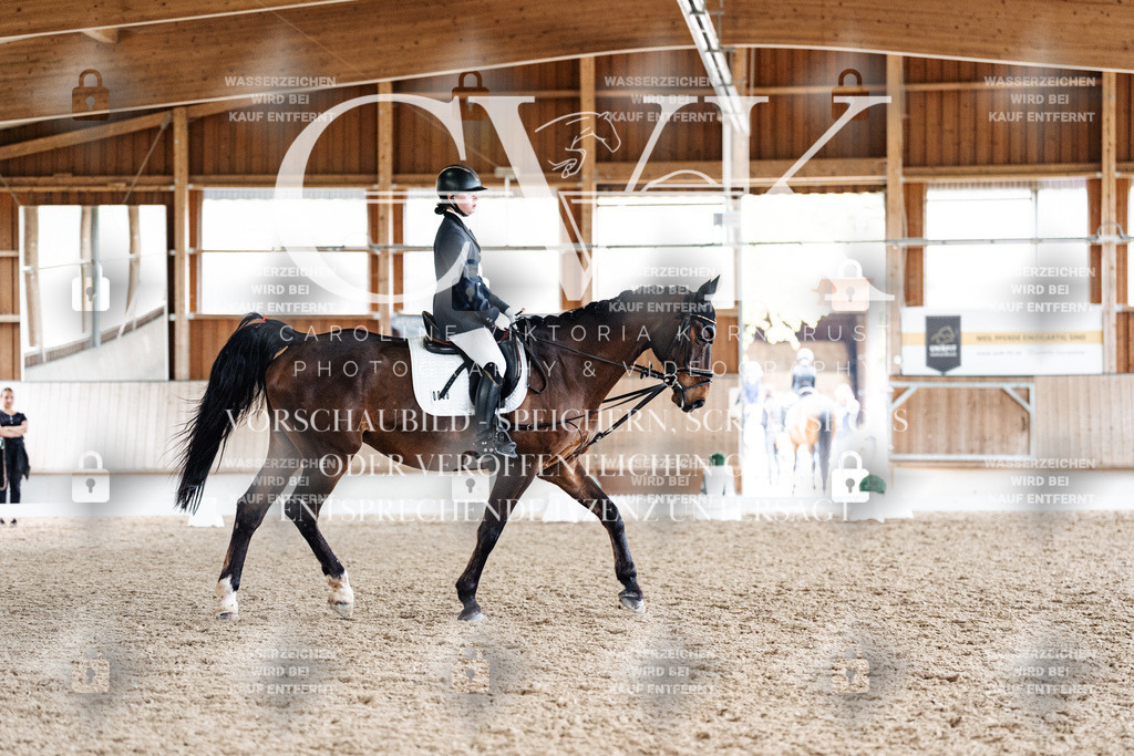 CK901755 | Turnierfotografie Pferdefotografie Trier Rheinland-Pfalz Pferdesport Reitsport Tierfotografie Sportfotografie Pferdevideo Pferdevideografie Equestrianvideography equestrianphotography  - Realisiert mit Pictrs.com