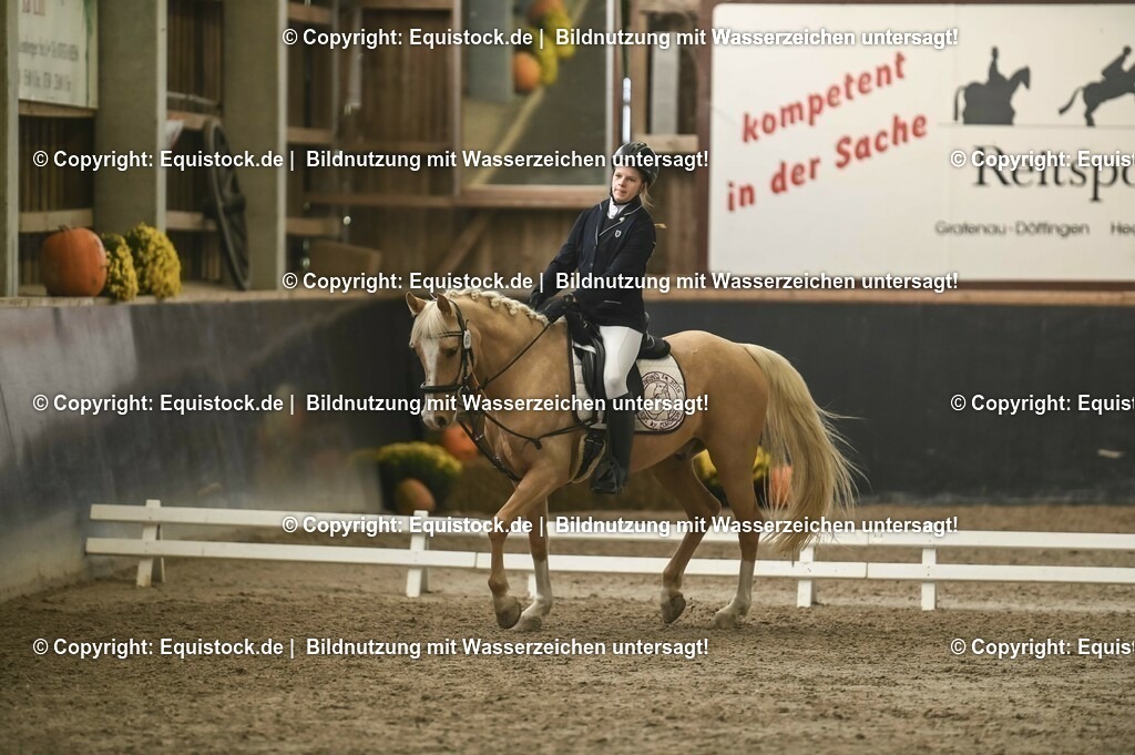20231029_02_Reiter-WB_Schritt-Trab_Abteilung-01_0072 | Foto: Thomas Hartig