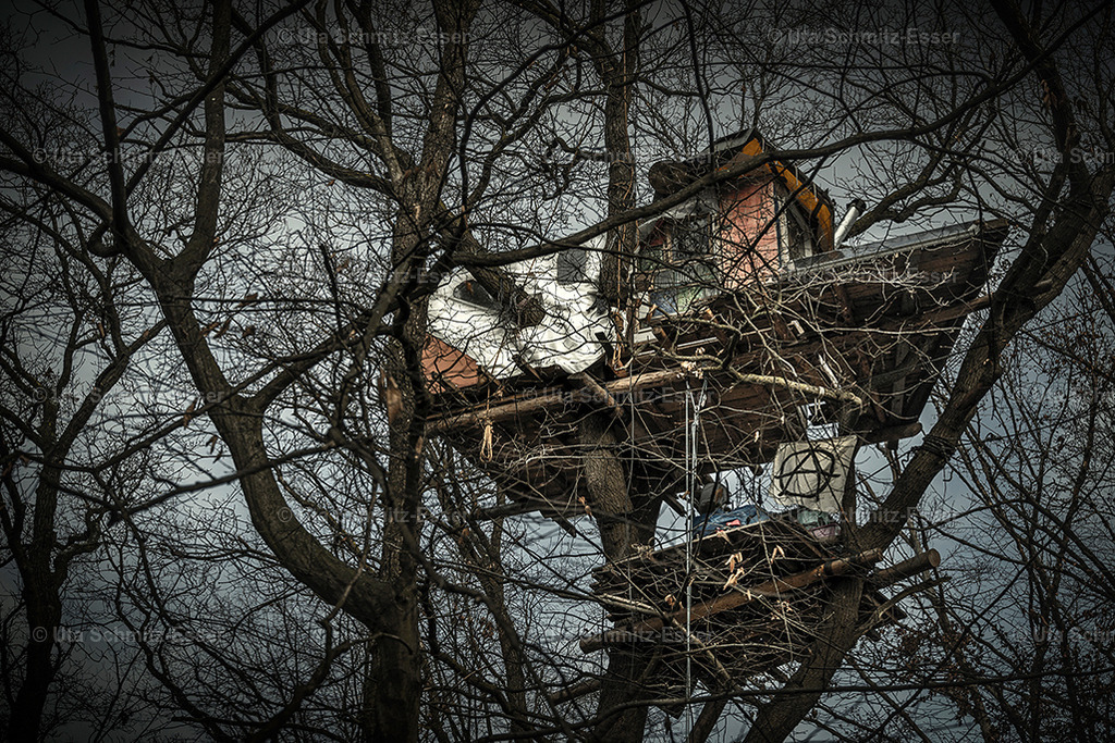 Hambacher-Forst_08 | CEUS Design - Realisiert mit Pictrs.com