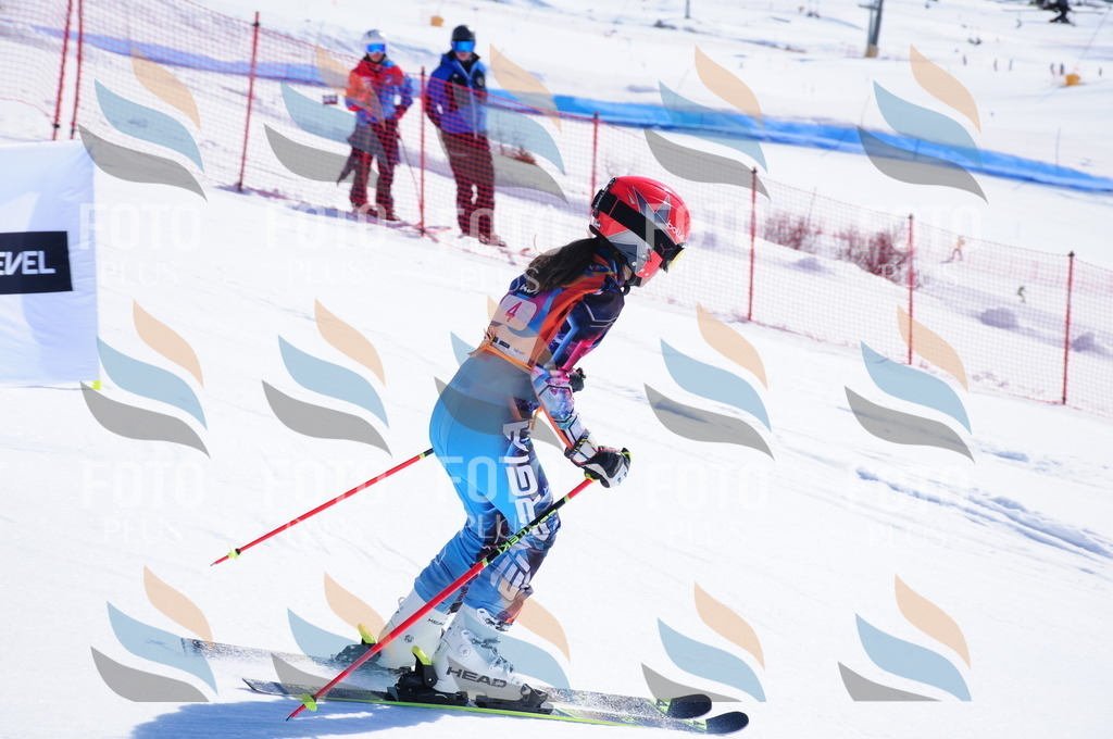 DSC_3637 | holidayphoto