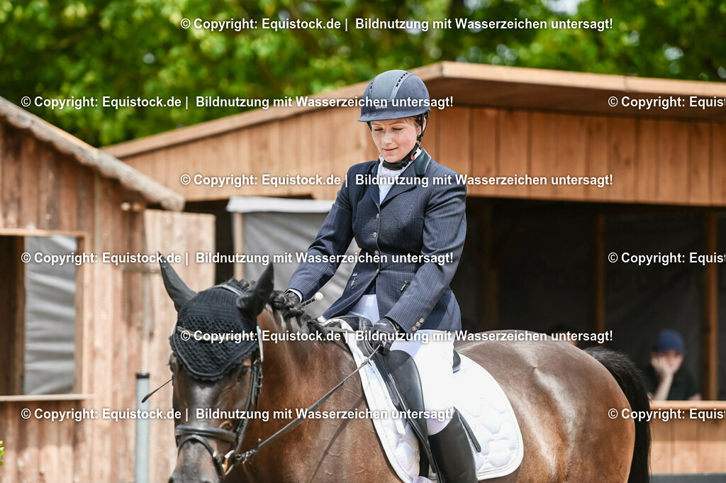 20230716_03_Dressurprfg. Kl.L - Tr._0368 | equistock