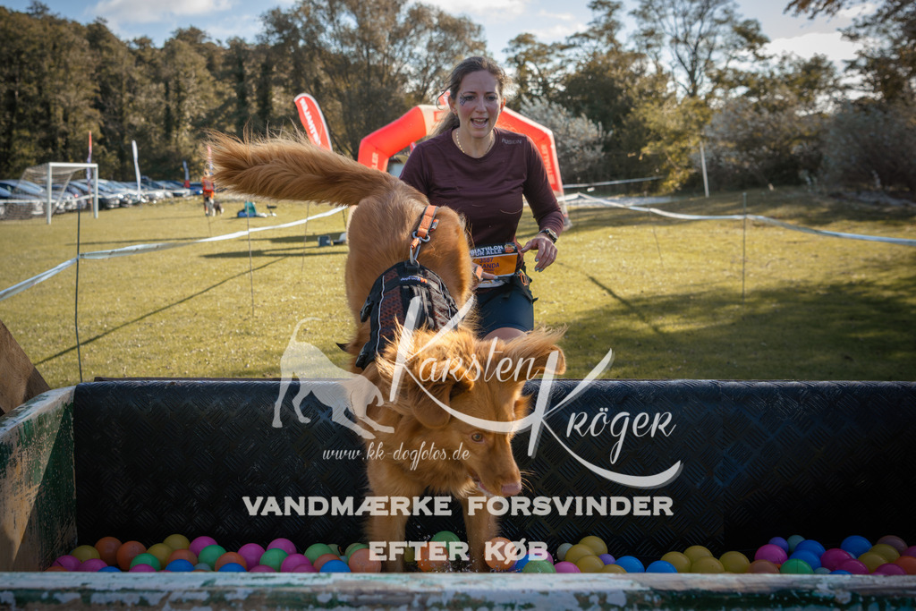 1200_ZZ94194 | kk-dogfotos
