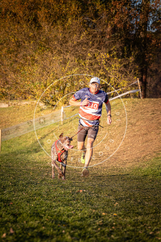 CaniXpix_0L8A1478 | Hundefotografie, Tierfotograf, Pfotenfotografie, Fotoshooting Hund, Hunde Portrait, Hundesport, Hundeportraits, Heideshooting, Hunde, Sportfotograf, Hundefotograf, Turnierhundsport, THS,  - Realisiert mit Pictrs.com