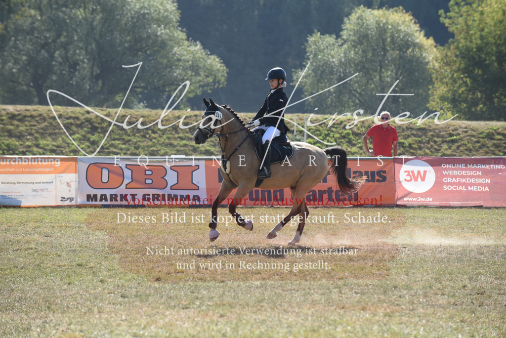 DSC_6075 | Pferde- und Turnierfotografie in Westsachsen. Pferdeportraits, Auftragszeichnungen und intuitive Kunst.