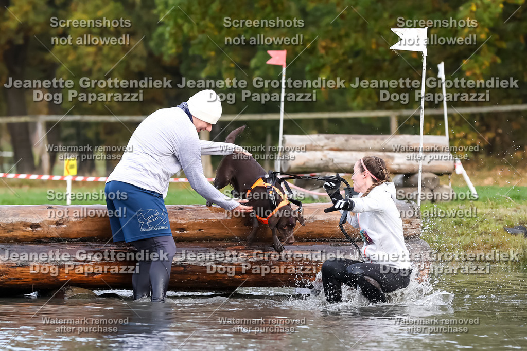 Dog Paparazzi - Strongdog 10-25-6800 | Dog Paparazzi Jeanette Grottendiek Fotografie & Videografie