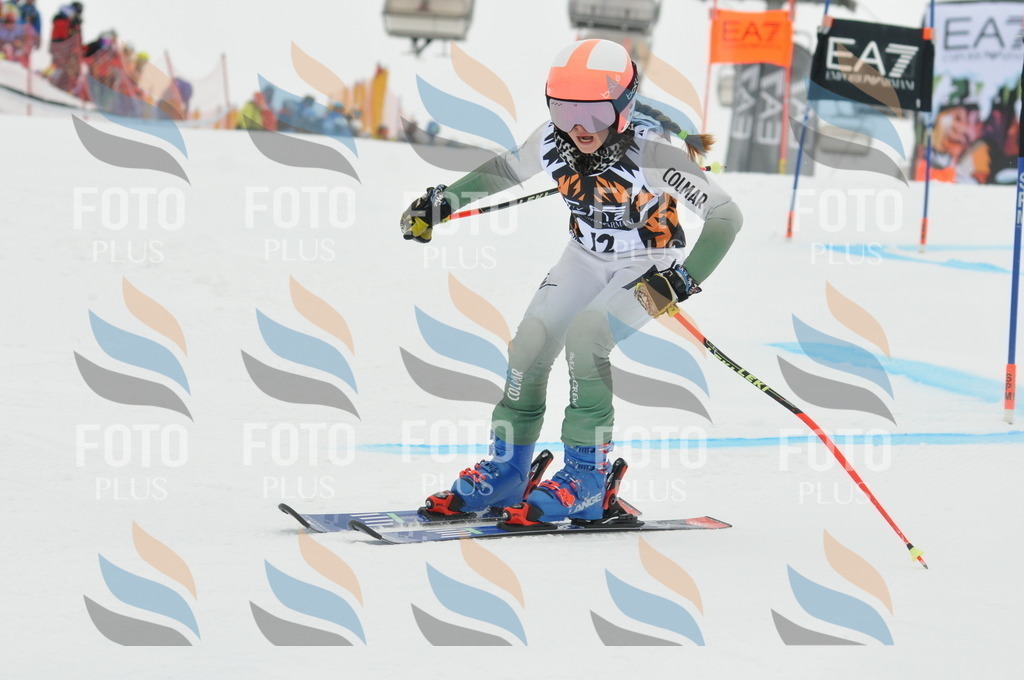 DSC_7406 | holidayphoto