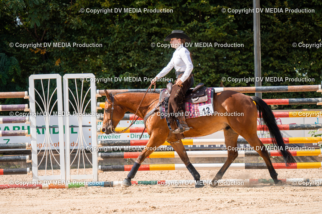 ZH100254 | dv-media-shop - Realisiert mit Pictrs.com