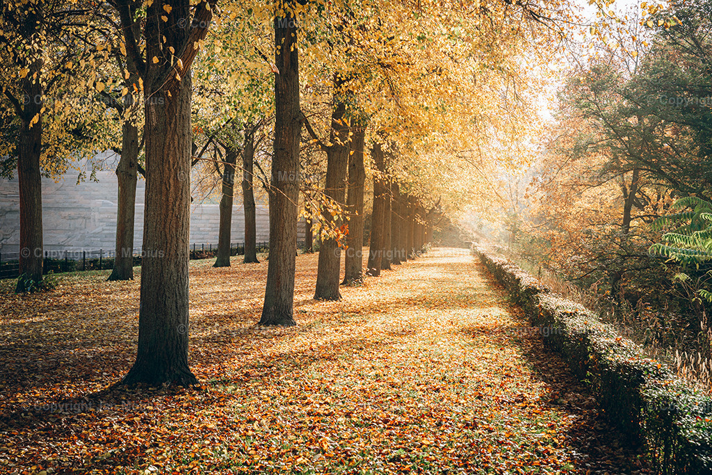 _DSC8004 | Leipzig Wandbilder Drucke Prints Leinwand Stadtmotive Leipzig Fotosdruck Kunstdrucke Bilder Leipzig Stadtansichten Acrylglasbilder Leipzig Wanddeko Fine Art Prints Wandbilder Büro Leipzig Bilder Praxis Zuhause Bilderdruck Poster Posterlounge Kunstdrucke - Realisiert mit Pictrs.com