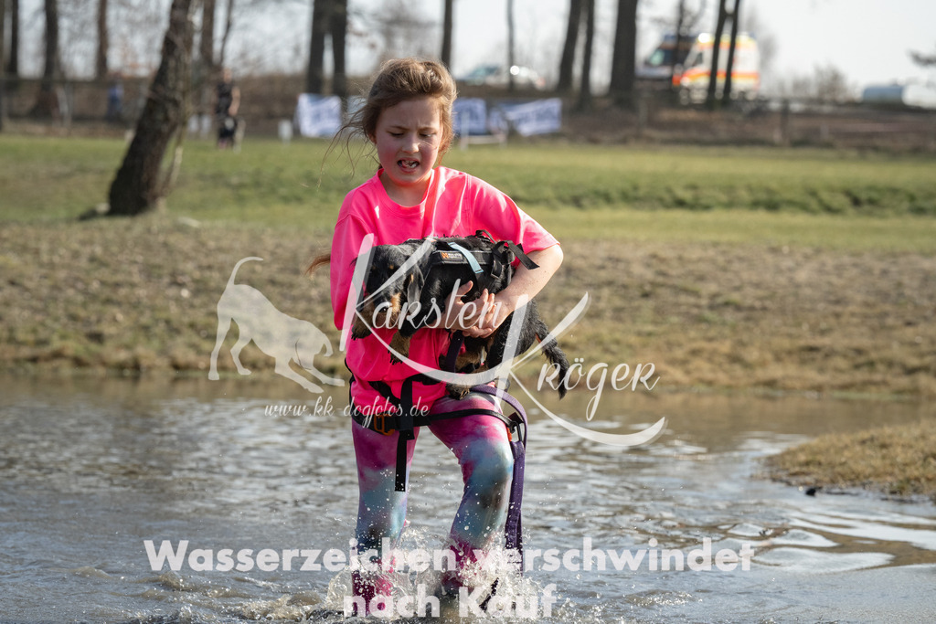 1337_ZZ97546 | kk-dogfotos