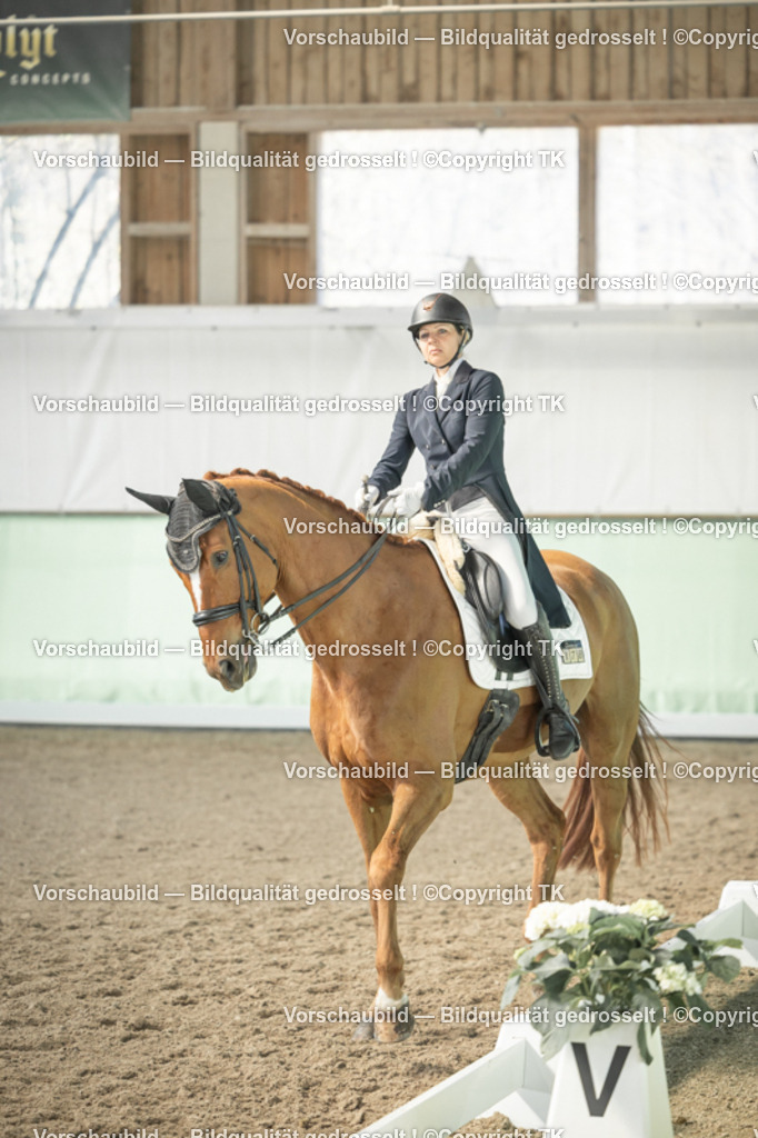 _D5A1424 | Emotionale Pferde- & People-Fotografie rund um Heidelberg, Leimen & Umgebung. Natürliche Fotos von Pferd, Mensch & Familie. Jetzt Termin sichern!