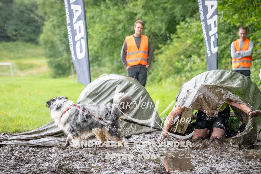 0931_ZZ91116-Bearbeitet | kk-dogfotos