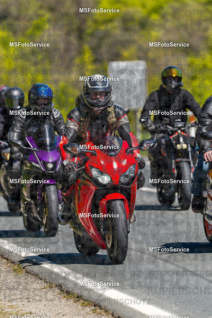 MSFotoServiceXXX260 | MSFotoService - Realisiert mit Pictrs.com