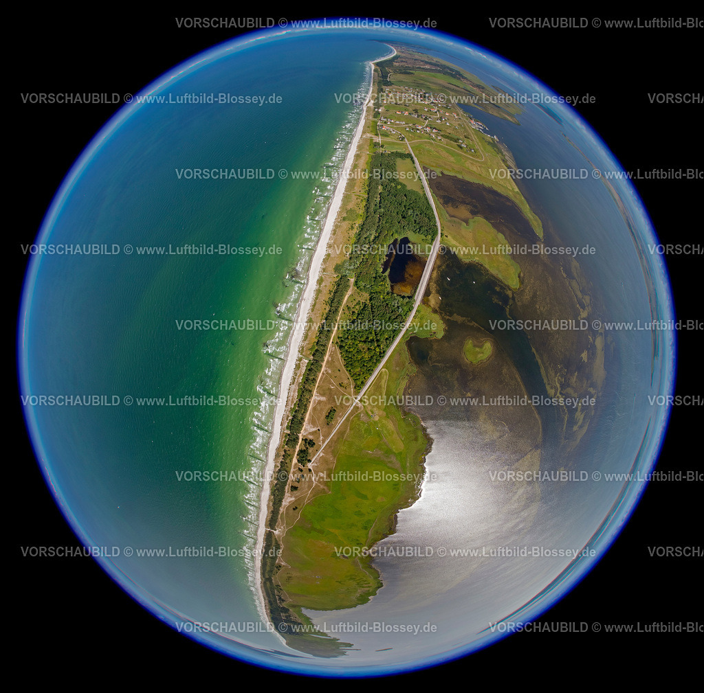 Hiddensee12081735A | Naturschutzgebiet Dünenheide, Heidelandschaft,  Insel Hiddensee, Ostseeinsel, Mecklenburg-Vorpommern, Deutschland, Europa